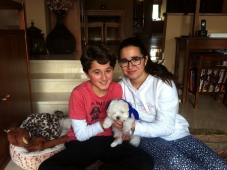 Beneficios para los niños de convivir con perros pequeños 3